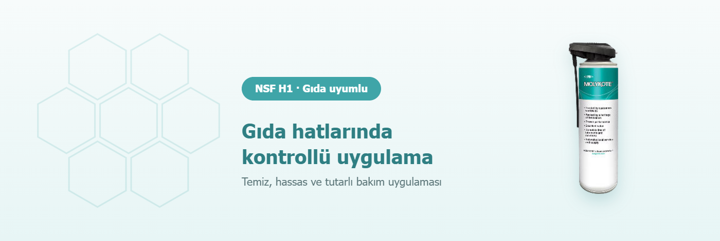 Gıda üretim tesisinde konveyör ekipmanları